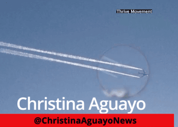 DeSantis Bans Geoengineering & Weather Modification In Florida (Chem-Trails)